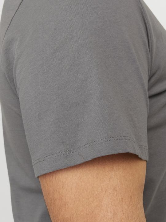 Actual product image Jack & Jones Jjebradley Tee Ss Noos Pls (5XL)