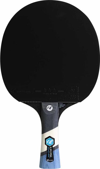 Image du produit Cornilleau Perform 500