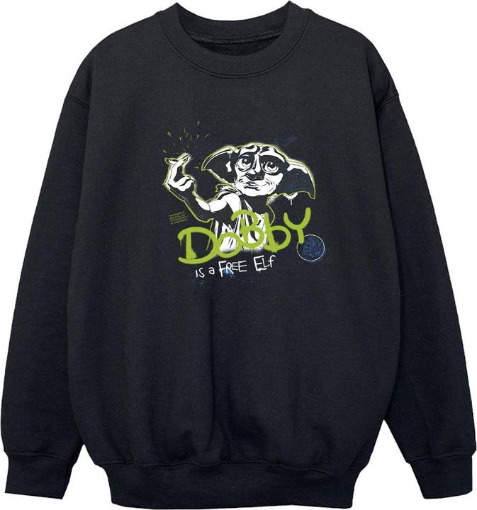 Image du produit - Sweat DOBBY A FREE ELF - Fille (104)