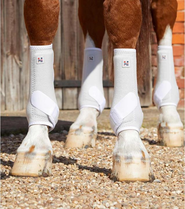 Actual product image Premier Equine horse gaiters air-tech sports medecine