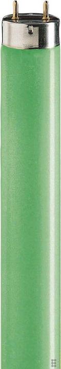 Produktbild Philips Leuchtstofflampe 36W grün TL-D 36W/17 (G13, 36 W, 4300 lm, 1 x, A)