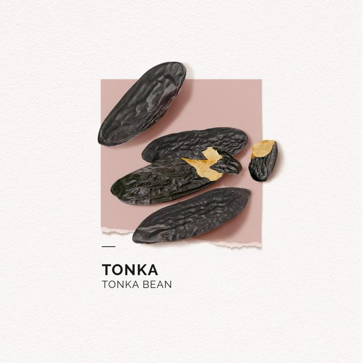 Produktbild Solinotes Tonka Mini Eau de Parfum (Eau de Parfum, 15 ml)