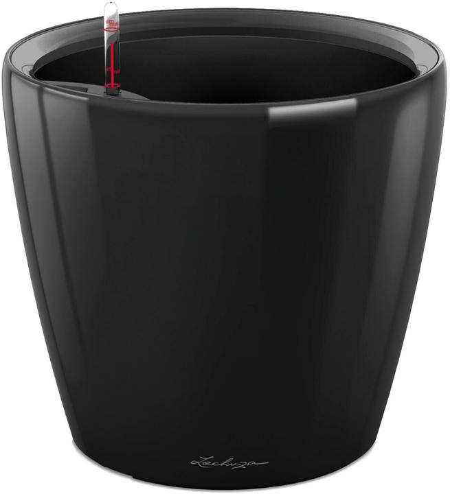 Actual product image Lechuza Classico (28.50 cm)