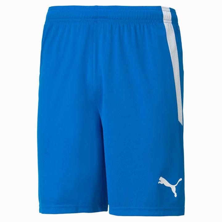 Actual product image Puma teamLIGA Shorts-704924 (L)