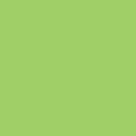 Immagine prodotto Rainbow Carta per fotocopie (80 g/m², 500 x, A4)