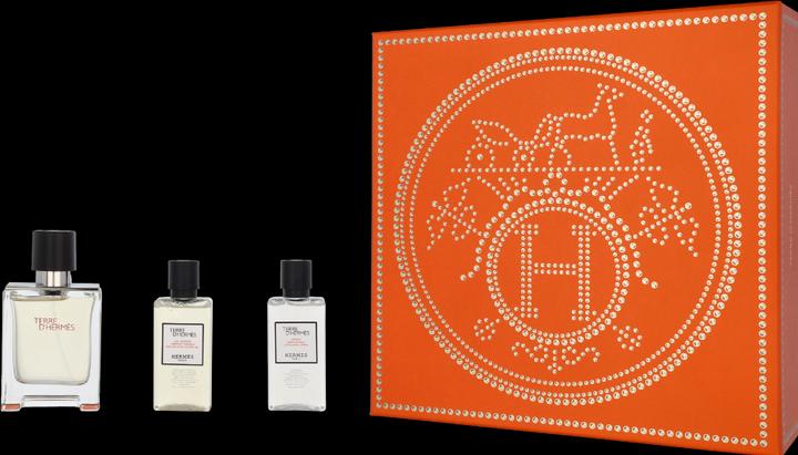 Actual product image Hermès Terre D'Hermes (Body care set)