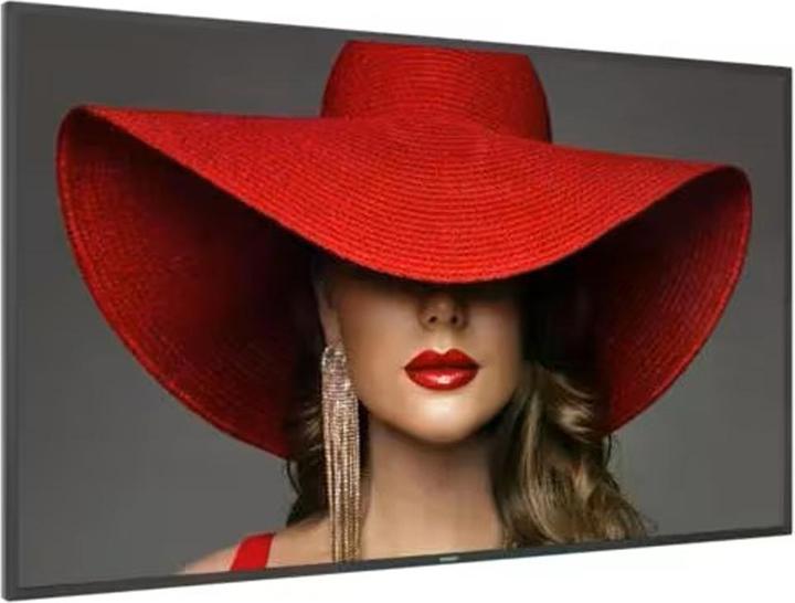 Image du produit Philips 55? D-Line UHD 24/7 landscape & port (3840 x 2160 pixels, 55")