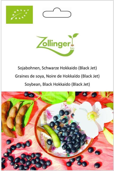 Actual product image Zollinger Bio Soybeans, Black Hokkaido (Black Jet) (Plant seeds)