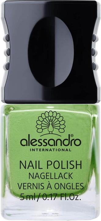921 Santo Guacamole