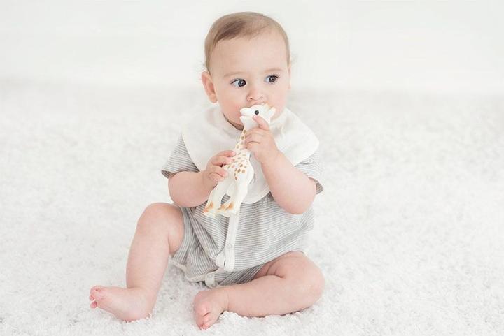 Immagine prodotto Sophie la girafe Pinza