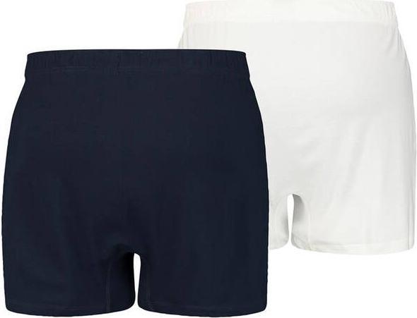 Actual product image Levis 2Pack Jersey Loose Fit Boxer (L, pack of 2)
