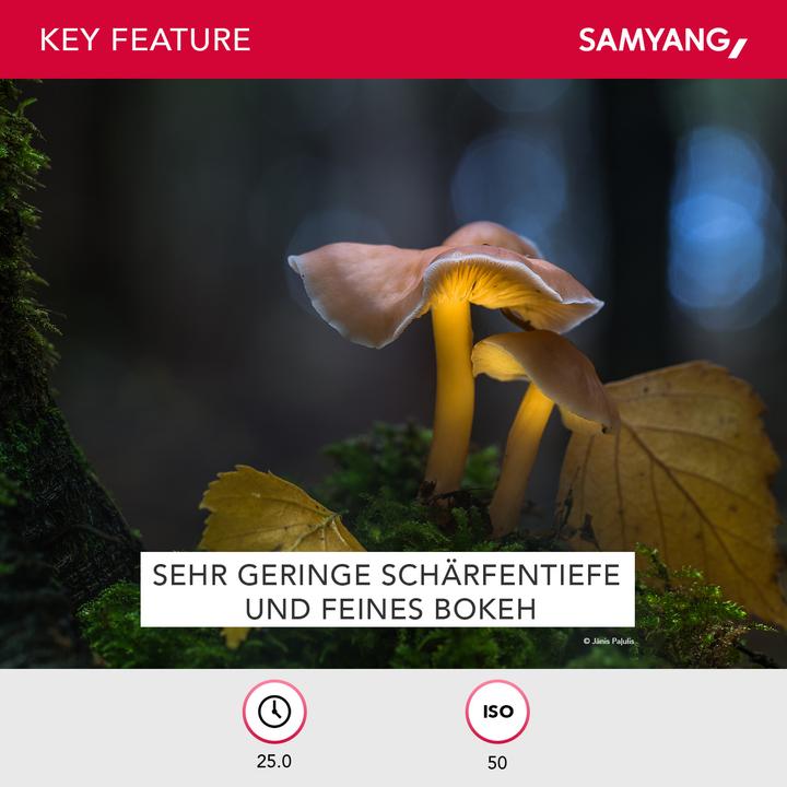 Actual product image Samyang 135mm f/2 ED UMC, Sony E (Sony E, full size)