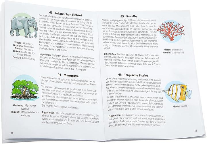 Produktbild Globus Tiere der Erde (Deutsch, Räthgloben 1917 Verlags GmbH, 2014)