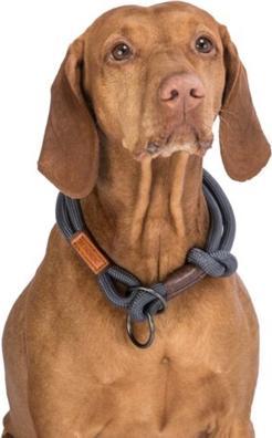 Produktbild Trixie BE NORDIC Zug-Stopp-Halsband (S, Hund, Hundesport)