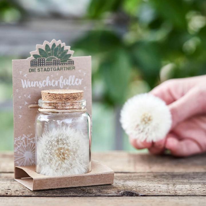 Produktbild Natura Punto Pusteblume (Ø 4 x 8 cm)