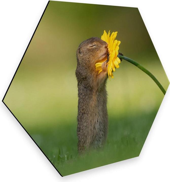 Immagine prodotto Trenddeko van Duijn - Gopher odora di fiori (75 x 65 cm)