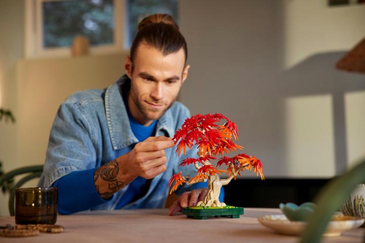 Produktbild LEGO Japanischer Roter Ahorn - Bonsai-Baum (10348, LEGO Botanical)