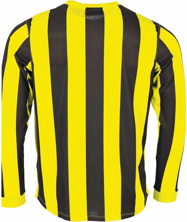 Actual product image Stanno Aspire Long Sleeve Jersey (L)