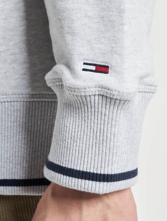 Image du produit Tommy Hilfiger Tjm Skater Prep Back Hoodie (M)