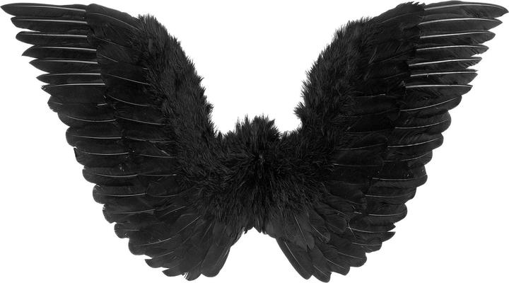 Image du produit Widmann Ailes noir 86x31cm