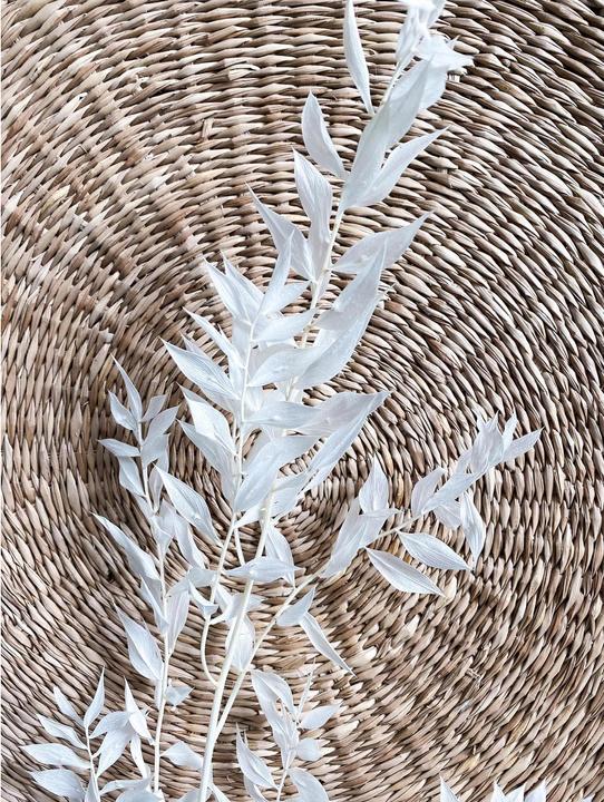 Image du produit Soli Collection Fleurs séchées Ruscus 70-75 cm, blanc (Fleurs séchées)