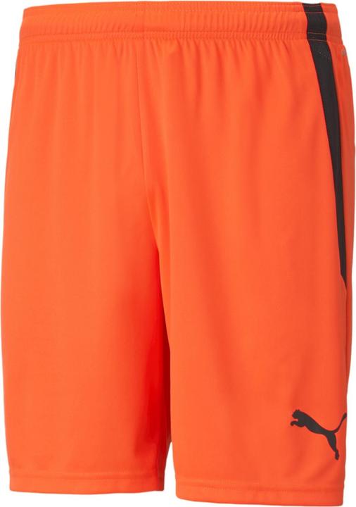 Actual product image Puma teamLIGA Shorts-704924 (XXL)