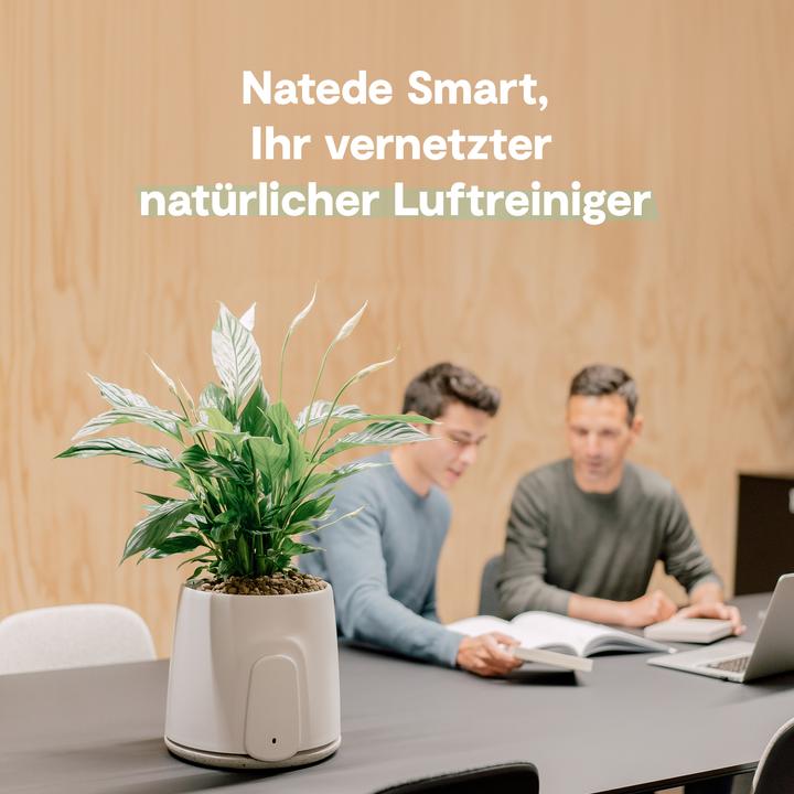 Actual product image Vitesy Natede Smart (20 m²)