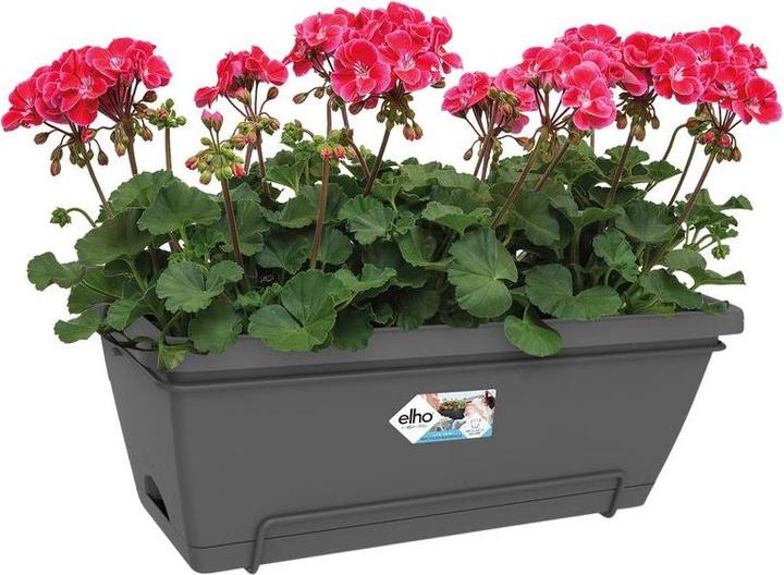 Image du produit Elho Barcelone Allin (32 cm)