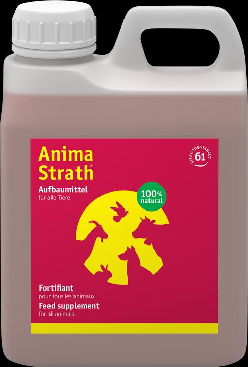 Produktbild Anima-Strath Flüssig (Adult, Junior, Senior, 1 Stk., 1415 g)