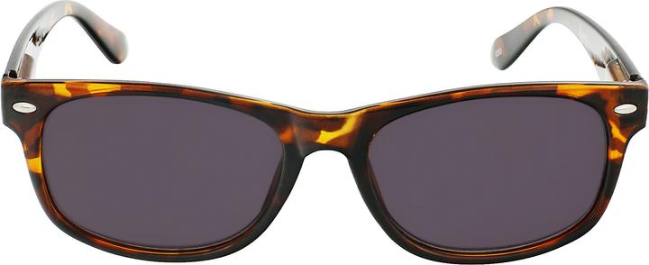 Image du produit Invu Lunettes de lecture de soleil (+1)
