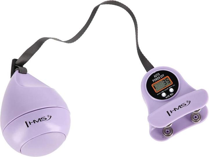 Immagine prodotto HMS Hula Hop HHM13 con magneti peso e contatore viola (40 cm, 400 g)