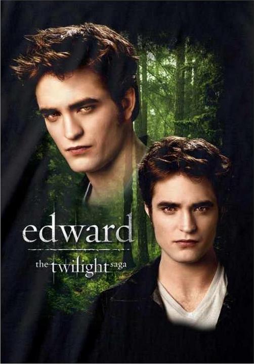 Produktbild Twilight TShirt (S)