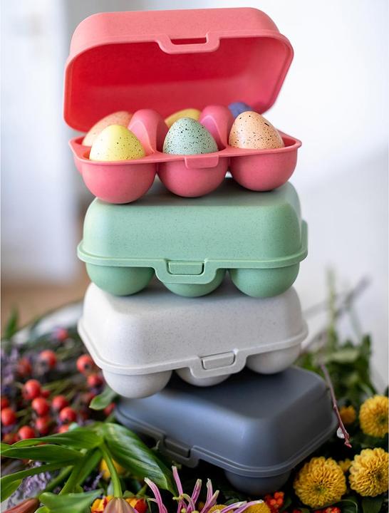 Image du produit Koziol Boîte à oeufs (1.40 l)