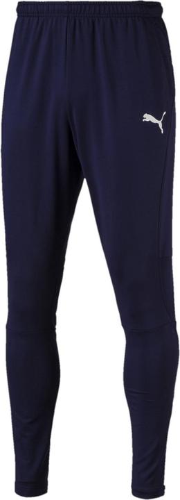 Actual product image Puma TeamLIGA PRO training pants men (XXL)