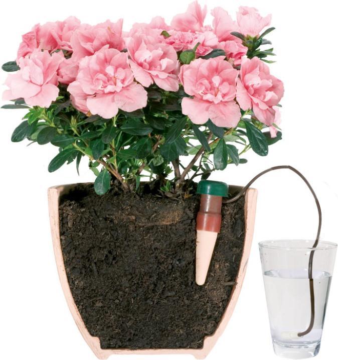 Produktbild Blumat Wasserspender (Tonkegel)