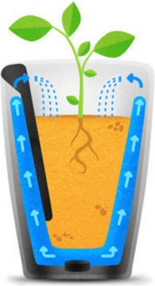 Parrot Flower Power Pot plant sensor