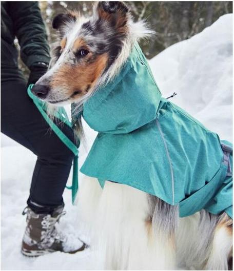 Immagine prodotto Hurtta Monsoon V2 (40, Cappotto impermeabile per cani)