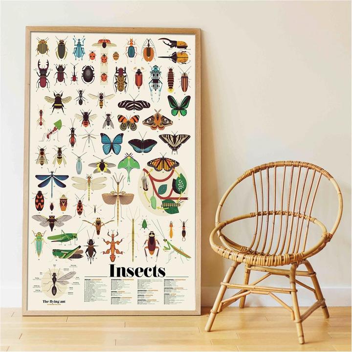 Actual product image Poppik Sticker Learning Poster Insects