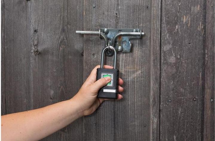 Actual product image Master Lock Padlock 4901EURDLHCC Zinc