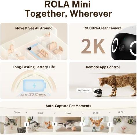 Actual product image Enabot Rola Mini Companion Robot (2304 x 1296 Pixels)