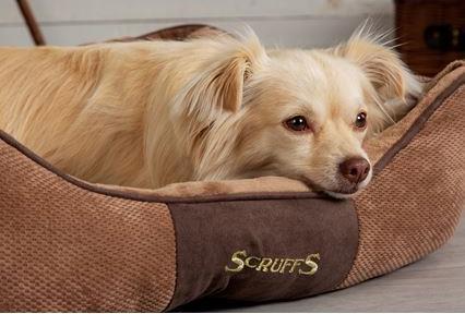 Produktbild Scruffs Chester Kuschelbett chocolat (Hund)