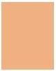 Actual product image MAC Cosmetics Studio Fix Tech Cream-To-Powder Foundation (NW13)