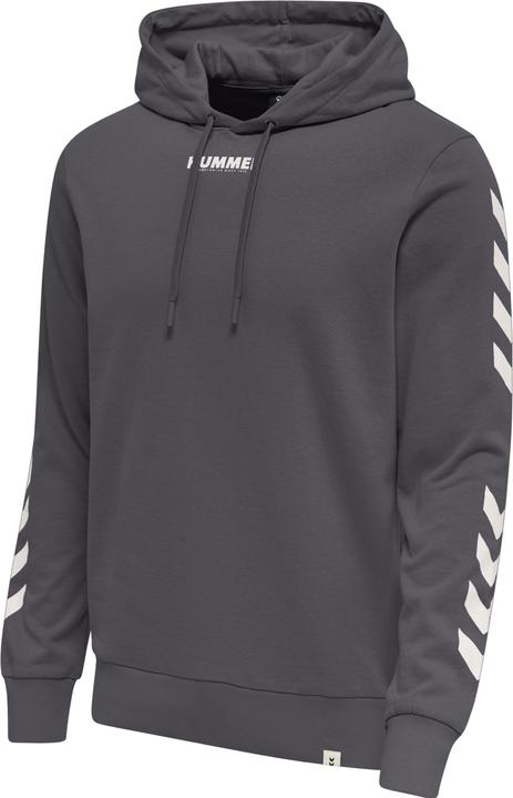 Actual product image hummel Legacy Hoodie (S)