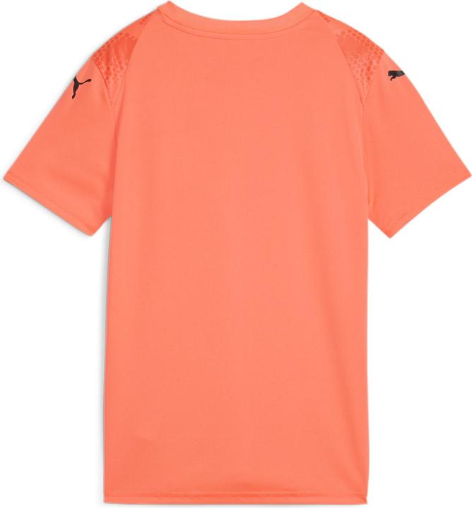 Actual product image Puma teamULTIMATE Jersey Jr (164)