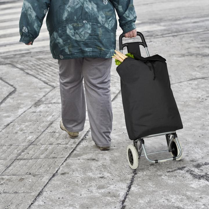 Actual product image Relaxdays Folding Shopping Trolley, Removable 28L Tote
