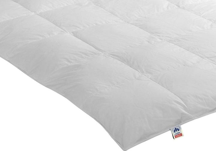 Immagine prodotto Irisette Piumino a cassetta Nora warm down (720 g, 135 x 200 cm)
