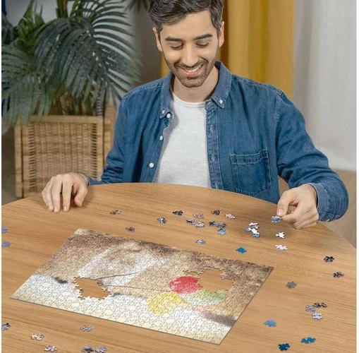Actual product image Ravensburger Girono di Festa (500 pieces)