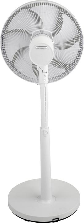 Actual product image Argo Table floor fan 61 db (61 dB)