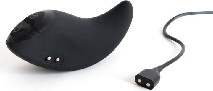 Actual product image Bswish bcurious premium