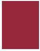 Actual product image Maybelline New York Superstay Matte Ink (20 Pioneers)